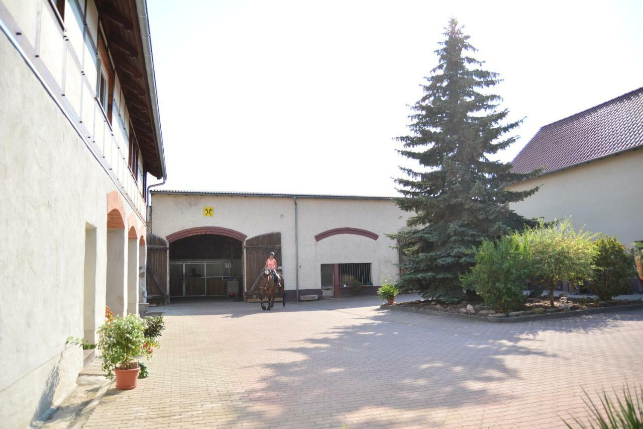 Gut Fischer Pomssen エクステリア 写真